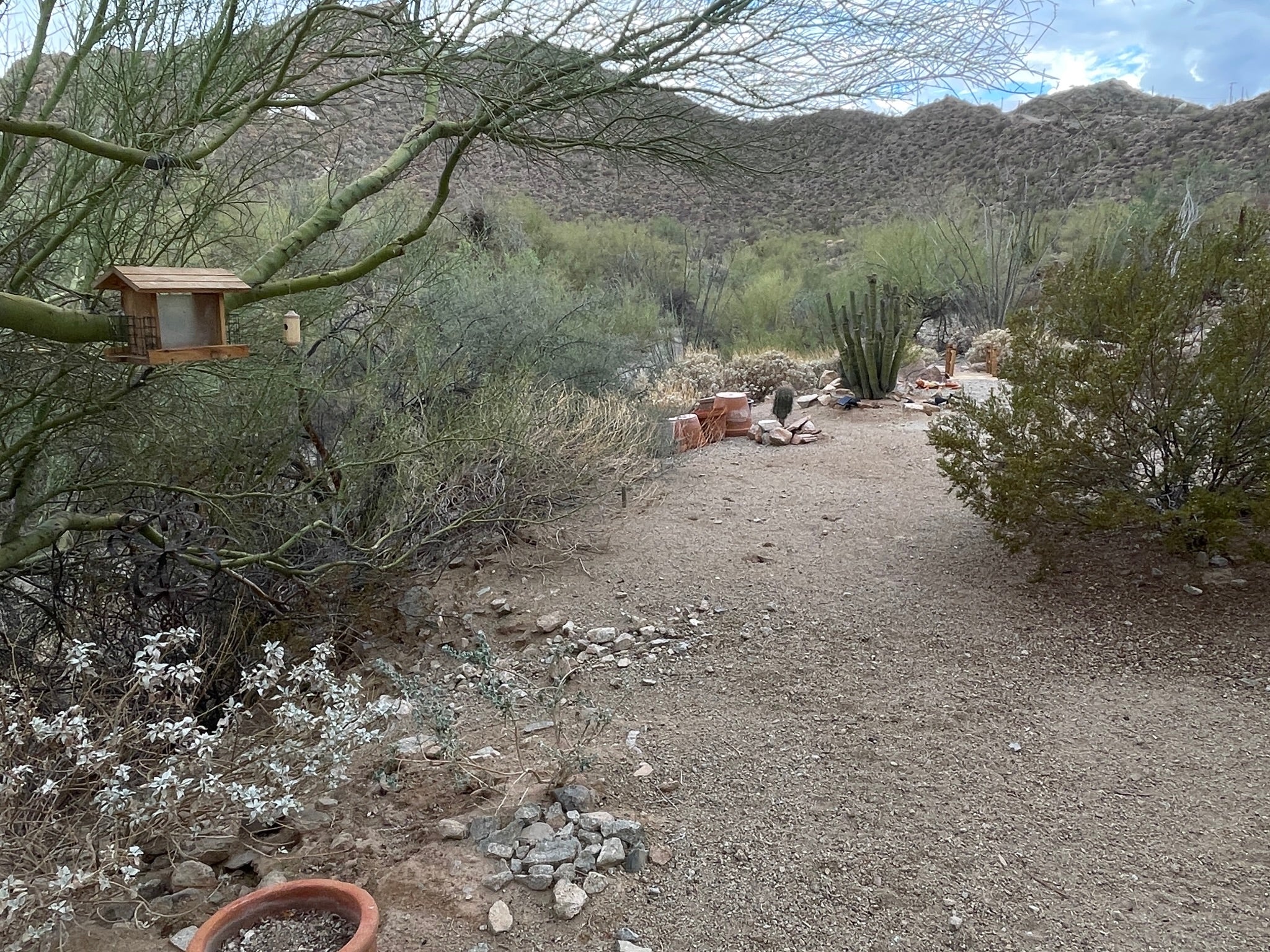 Ajo - Saguaro House Tent Camping