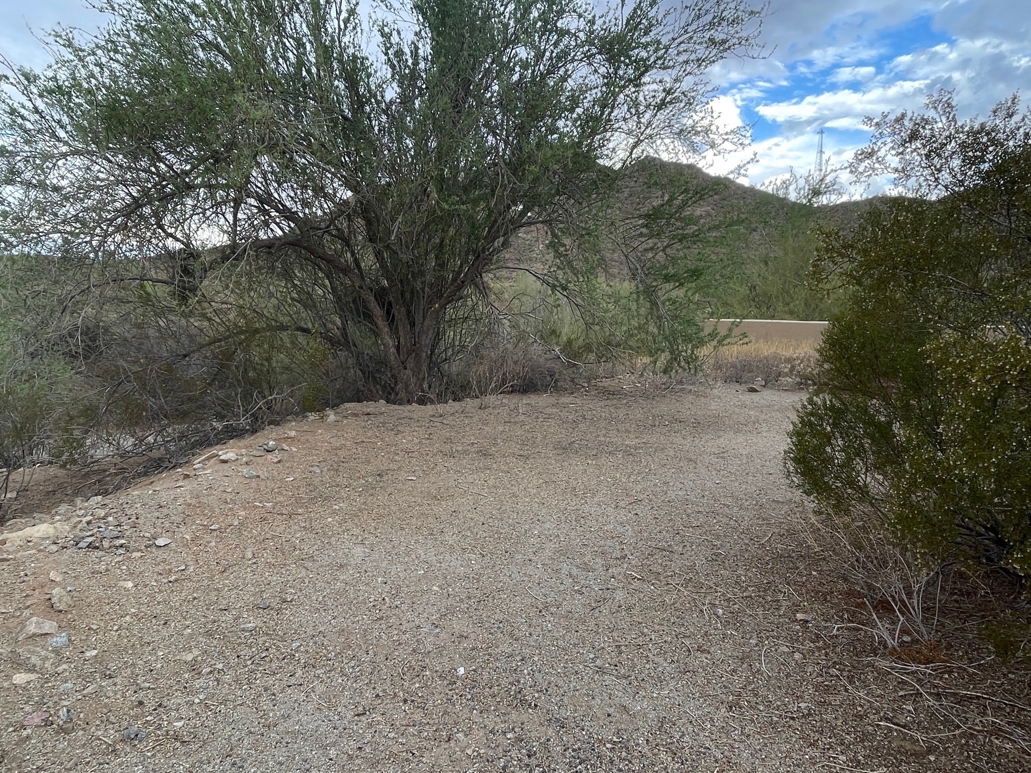 Ajo - Saguaro House Tent Camping